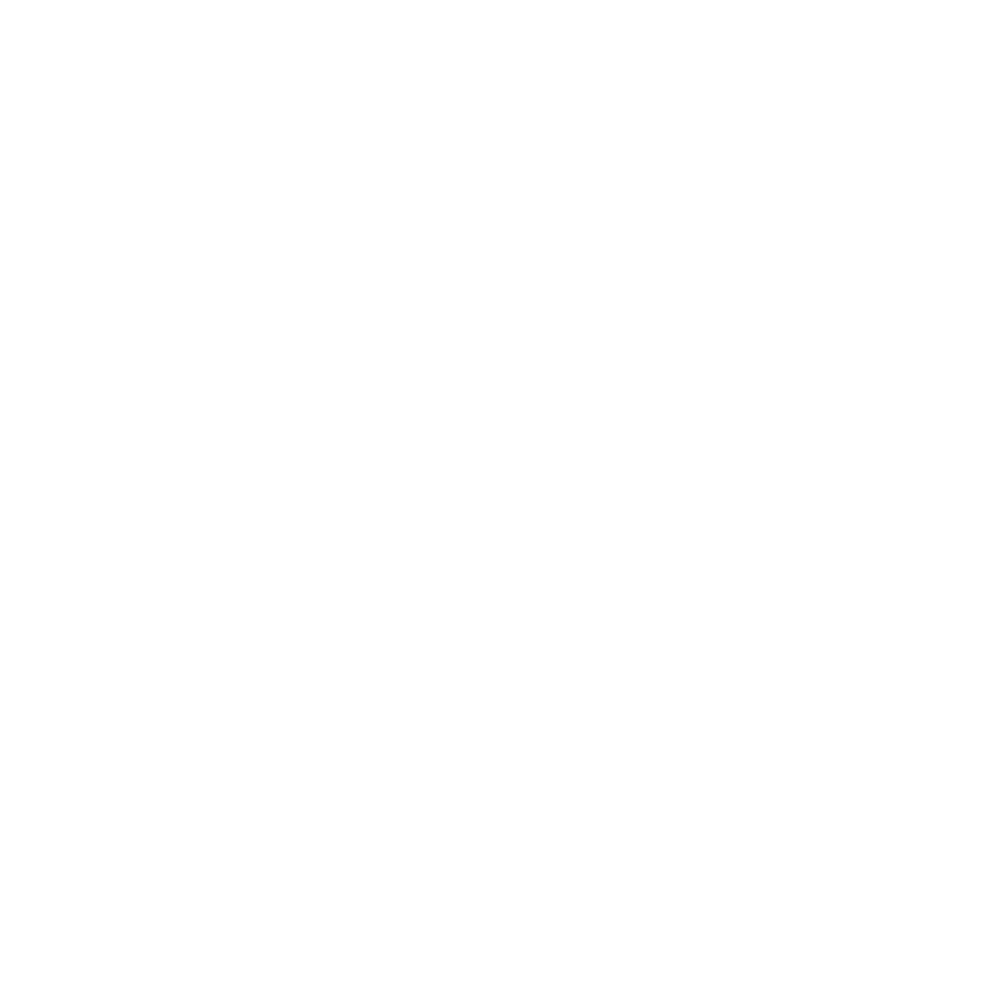 Total Energie
