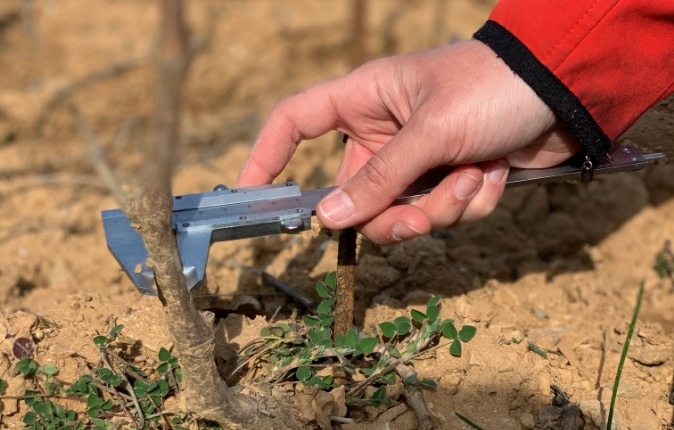 Agriculture engagée