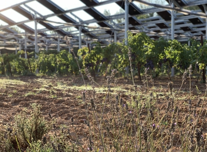 photovoltaic shades