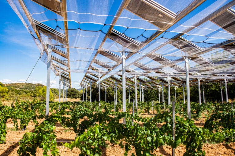 Parcelle agrivoltaïque Ombrea et Société du Canal de Provence