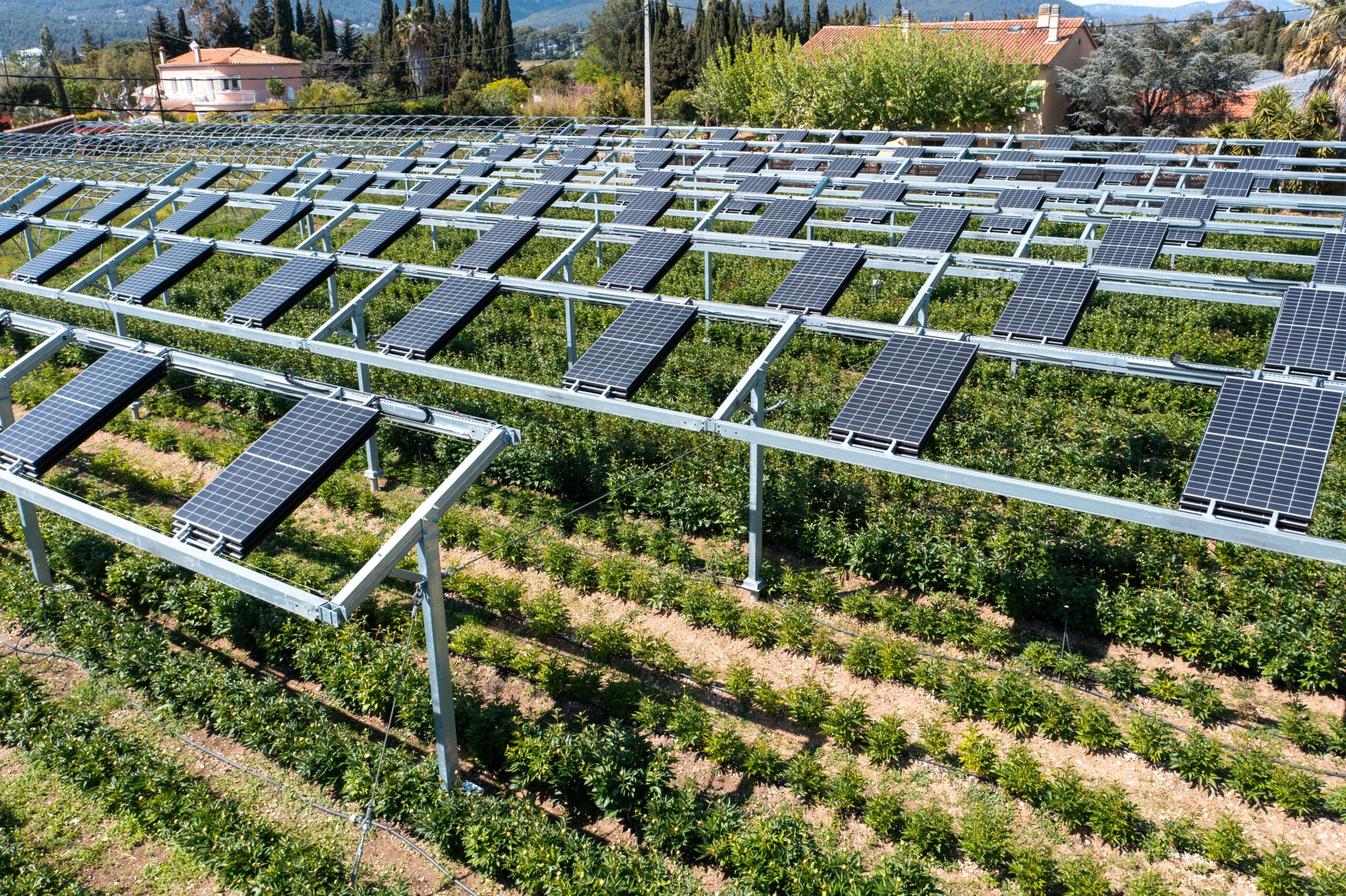 Site agrivoltaïque sur parcelle horticole