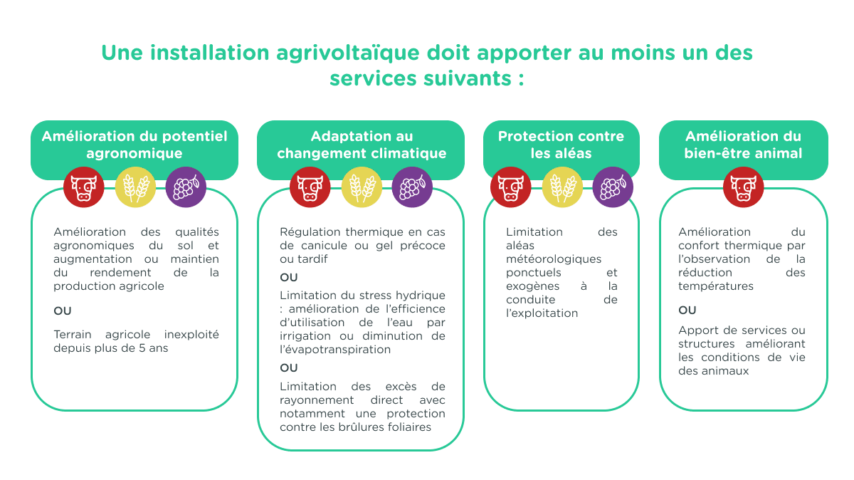 les 4 services rendus par l'agrivoltaïsme - décret agrivoltaïsme