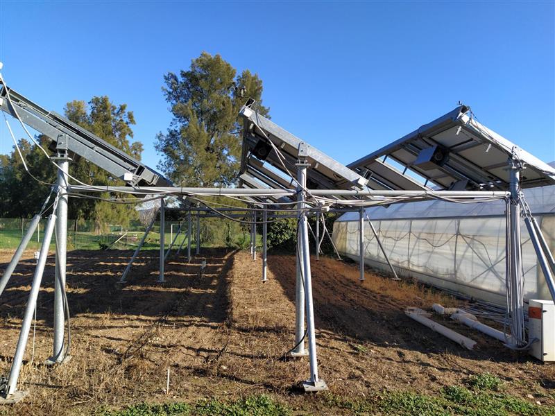 Site agrivoltaïque en horticulture