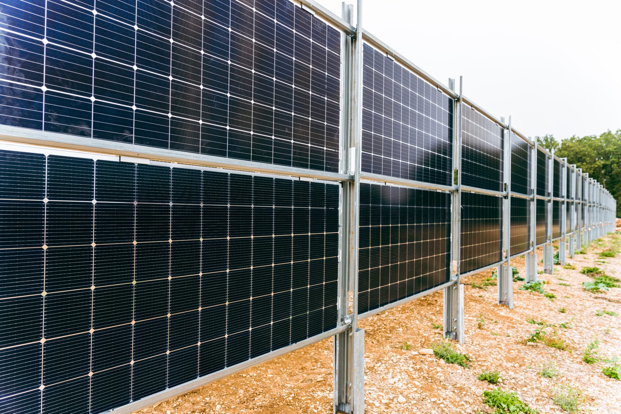 Agrivoltaics glossary