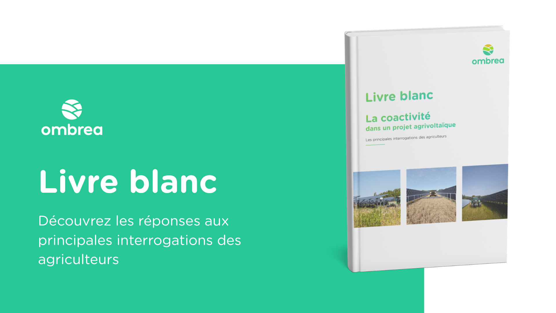 illustration du livre blanc sur la coactivité en agrivoltaïsme