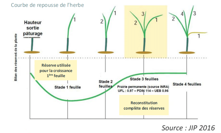 Courbe de repousse de l'herbe Ombrea