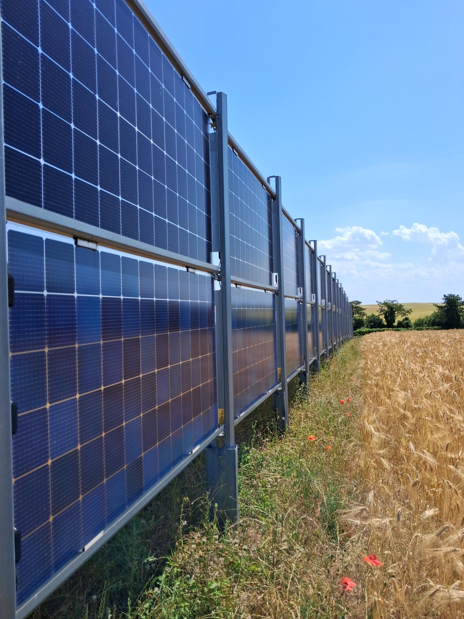 Agrivoltaïsme panneaux solaires bifaciaux verticaux en grande culture